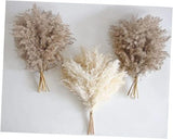 30 PCS Boho Decor, Fluffy Pompas Grass, Natural Dry Pampas Grass Small, Short Pampas Grass