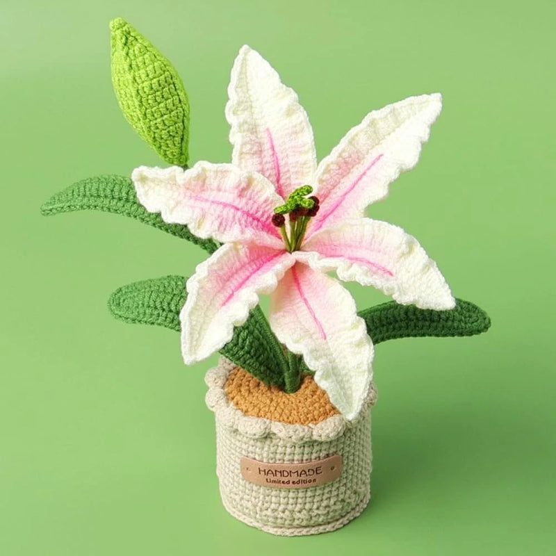 Crochet potted lily plant with white and pink faux lily flowers in beige yarn pot