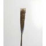 Bunch of Dry Pampas Grass 10 Stems Pack 3 Foot Pampas Grass
