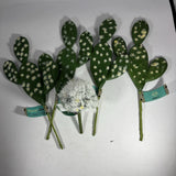Set of 4 Artificial Prickly Pear Cactus Plant 7-3/4" Floral Picks NWT Green Plant