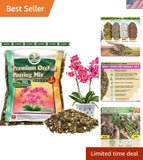 Upgraded] Orchid Potting Mix for Repotting with Forest Moss, Pine Bark, Perli...,saitnegkou0  99.5% positive (1.4K) Orchids