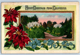 c1910's Christmas Pampas Grass With Plumes Los Angeles CA Poinsettia Postcard Pampas Grass