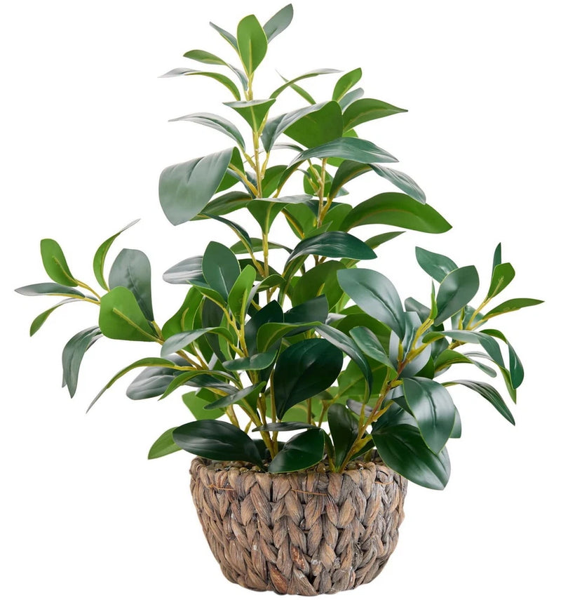 Artificial ficus plant in woven rattan pot, faux green broad leaves