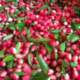 Carissa Carandas 15 Seeds, Edible Fruit Karonda Climbing Medicinal Shrub Tree Flowering Plants