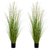 Artificial Plant 47in Tall 2pk Grass, Onion Grass Artificial Greenery Floor P... Pampas Grass
