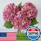 YalzoneMet 3 PCS Yellow/Pink Hydrangea Artificial Flowers 21'' Real Touch Faux L Hydrangea