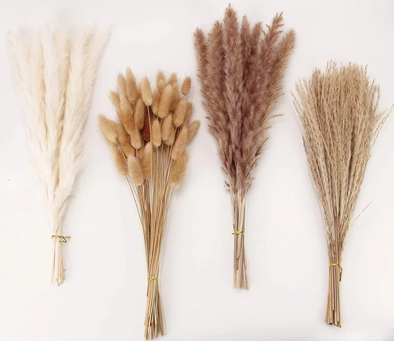 Set of dried pampas grass and bunny tails bundles, cream and brown, assorted
