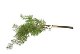 West Elm Artificial Greenery Faux 18" Pine Branch Houseplant Branch Stem Green Plant