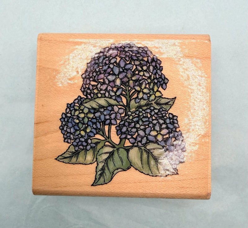Rubber Stampede Small Hydrangea Bloom Flower Mounted Rubber Wood Stamp Vintage Hydrangea