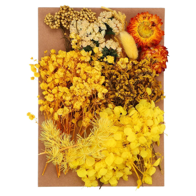 Pressed Flowers Bulk Dried Flowers Natural Pressed Flowers Leaves Yellow Style Dried Flower
