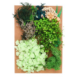 Pressed Flowers Bulk Dried Flowers Natural Pressed Flowers Leaves Green Series Dried Flower