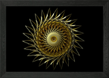 abstract Sun flower Framed Wall Art Poster Canvas Print Picture Sunflower