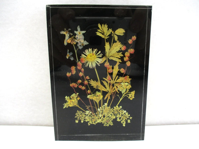 Vintage lucite pressed dried flowers picture, clear frame with yellow and white blossoms