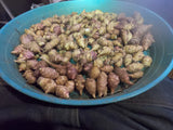 Jerusalem Artichoke Grab Bag of Various Sunchoke Varieties - Small SEED Tubers Garden Plants