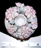 Royal Doulton Flower Candle Holder Sculpted Porcelain CARNATIONS 1982 Carnation