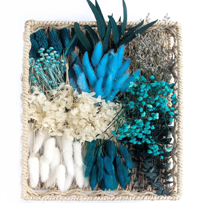 DIY Natural Preserved Flower Kit, Wholesale Preserved Flowers for Vases, Pres... Pampas Grass