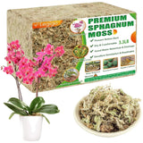 3.3LBS Long Fiber Orchid Moss for Repotting Succulents Orchids