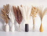 110 PCS Dried Pampas Grass Bouquet, Boho Table Decor, 110pcs Dried Flower