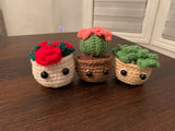 Homemade Crochet Succulent Trio Green Plant