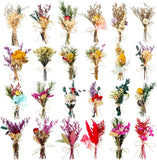 24 Pcs Dried Flowers Bouquet Boho Mini Dried Flower with Stem Small Floral Plant Dried Flower