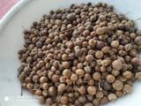 4 oz Lawsonia inermis Henna Seeds Ð Natural Dye Plant Ð Herbal Garden Garden Plants