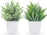 2 Pack Small Fake Plants Mini Artificial Potted Plants for Table Desk Home Laund Green Plant