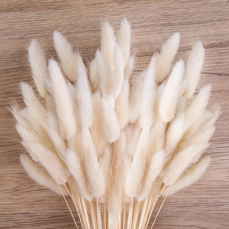 JOHOUSE 120PCS White Bunny Tails Dried Flowers, 17inch Pampas Pampas Grass