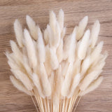 JOHOUSE 120PCS White Bunny Tails Dried Flowers, 17inch Pampas Pampas Grass