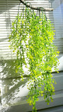 2 Pcs Yellow Plastic Admiralty cane rattan Artificial Plant Hangings(V8) Green Plant