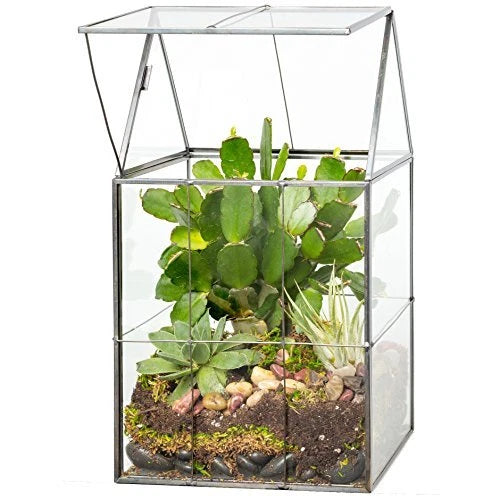 Deco Glass Geometric DIY Terrarium for Succulent & Air Plant- Hinged Roof Sha... Green Plant