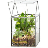 Deco Glass Geometric DIY Terrarium for Succulent & Air Plant- Hinged Roof Sha... Green Plant