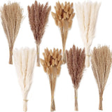 200PCS Dried Flower Bouquet Ð Pampas Grass, Floral Decor 200PCS, Brown,white Pampas Grass