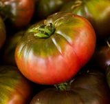 CHEROKEE PURPLE TOMATO SEEDS 50+ INDETERMINATE GARDEN vegetables FREE SHIPPING Garden Plants