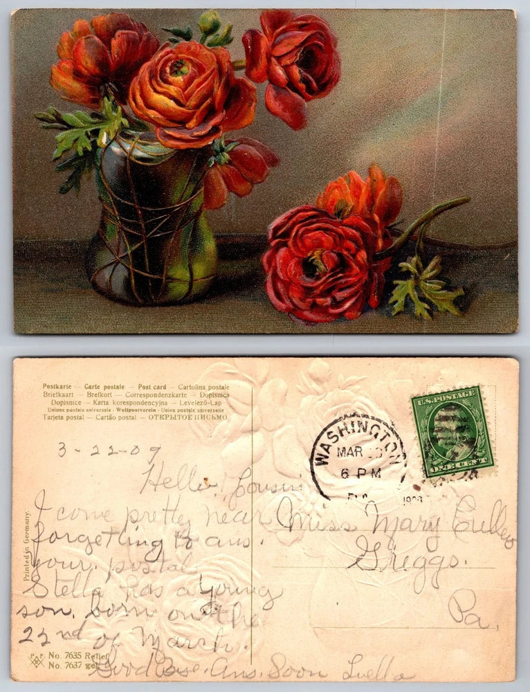 1909 Embossed Ranunculus Flowers Vase Still Life Postcard Washington PA Ranunculus