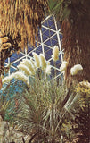 Postcard Pampas Grass Mitchell Conservatory Milwaukee Wisconsin Pampas Grass