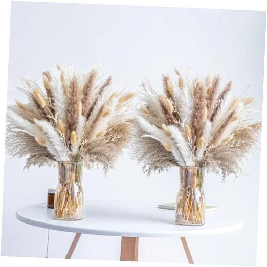 300PCS Natural Dried Pampas Grass Boho Home Decor Bouquet Phragmites 300 Pcs Pampas Grass