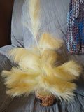 BOHO ARTIFICIAL PAMPAS GRASS CHRISTMAS TREE 2 FT TALL Pampas Grass