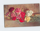 Postcard Still Life with Carnations Flower Carnation