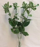 Euphorbia Branch Stems 25" Artificial Variegated Green White Lot of 4 Green Plant