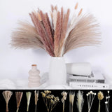 109 Pieces of a Variety of Dried Pampas Grass | Decor, Vases, Holidays Pampas Grass