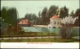 Eastlake Park ~ Los Angeles California ~ Pampas Grass ~ 1907 UDB postcard Pampas Grass