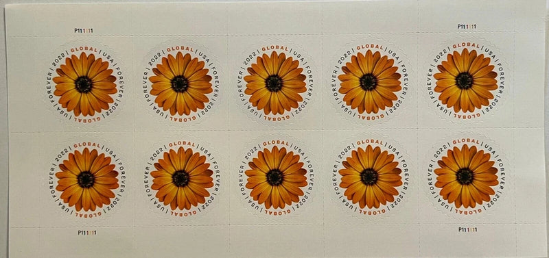 USA 2022 Stamps Global Forever African Daisy Sheet of 10 x $1.70 = $17.00 Daisies