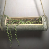 Natural Bamboo Tube Planter Hanging Flower Plant Pot Garden Decor Balcony Rack Garden Plants