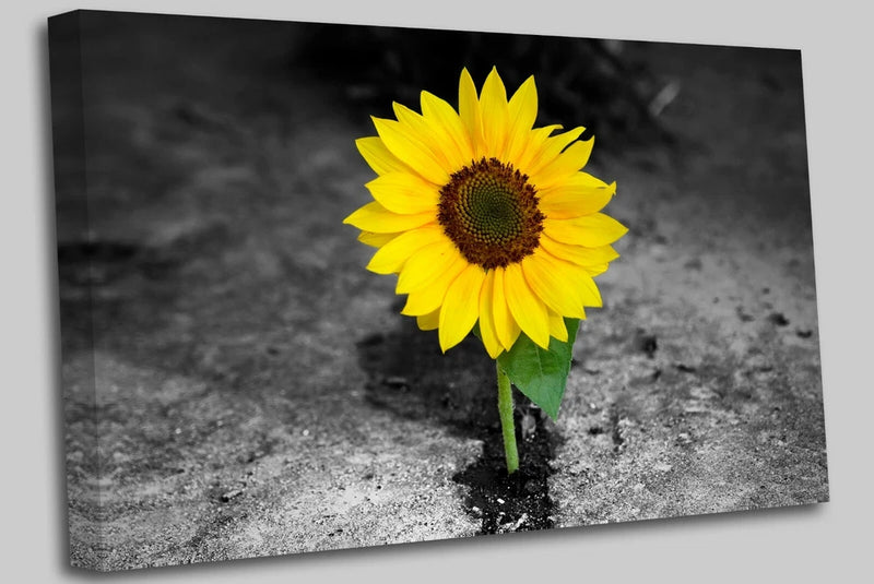 Yellow sunflower canvas wall art print with green stem and dark center.