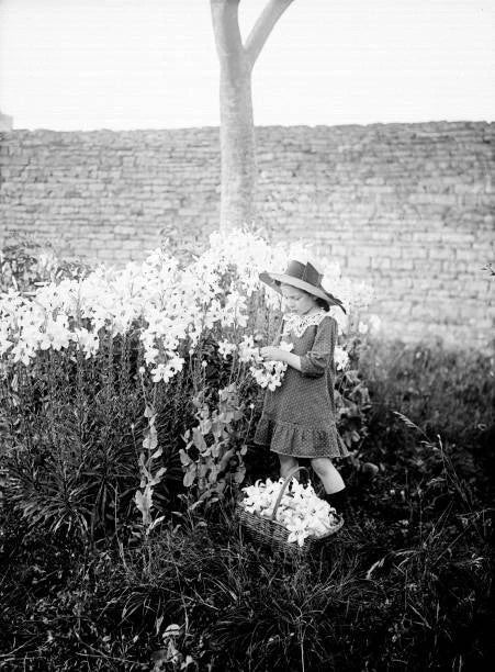 Vintage black-and-white photo of a girl in a hat picking flowers near bushes
