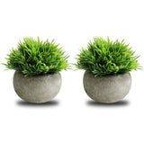 THE BLOOM TIMES 2 Pcs Fake Plants for Bathroom/Home Office Decor, Small Green Plant