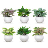 Artificial Potted Plants Set of 6, Bathroom Decor 3.94" Mini Fake Plants in P... Green Plant