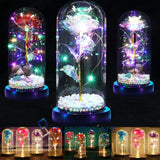 Rose in Glass Dome Light Up Preserved Galaxy Rose for Women Valentine's Day Gift Roses