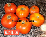 50+ Seeds Abu Rawan Tomato Easy to Grow Vegetable Garden Planting Garden Plants