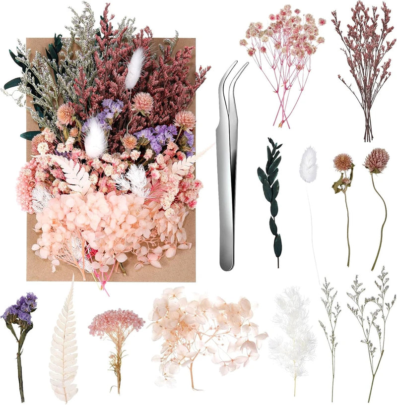 Real Dried Flowers, Natural Dry Flowers Mixed Natural Pressed Flowers Flores Sec Dried Flower